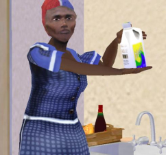 Sandi Introduces Hygiene in the Kitchen